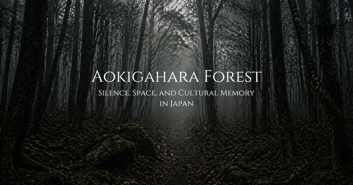 A foggy forest path surrounded by dense trees and moss-covered ground.